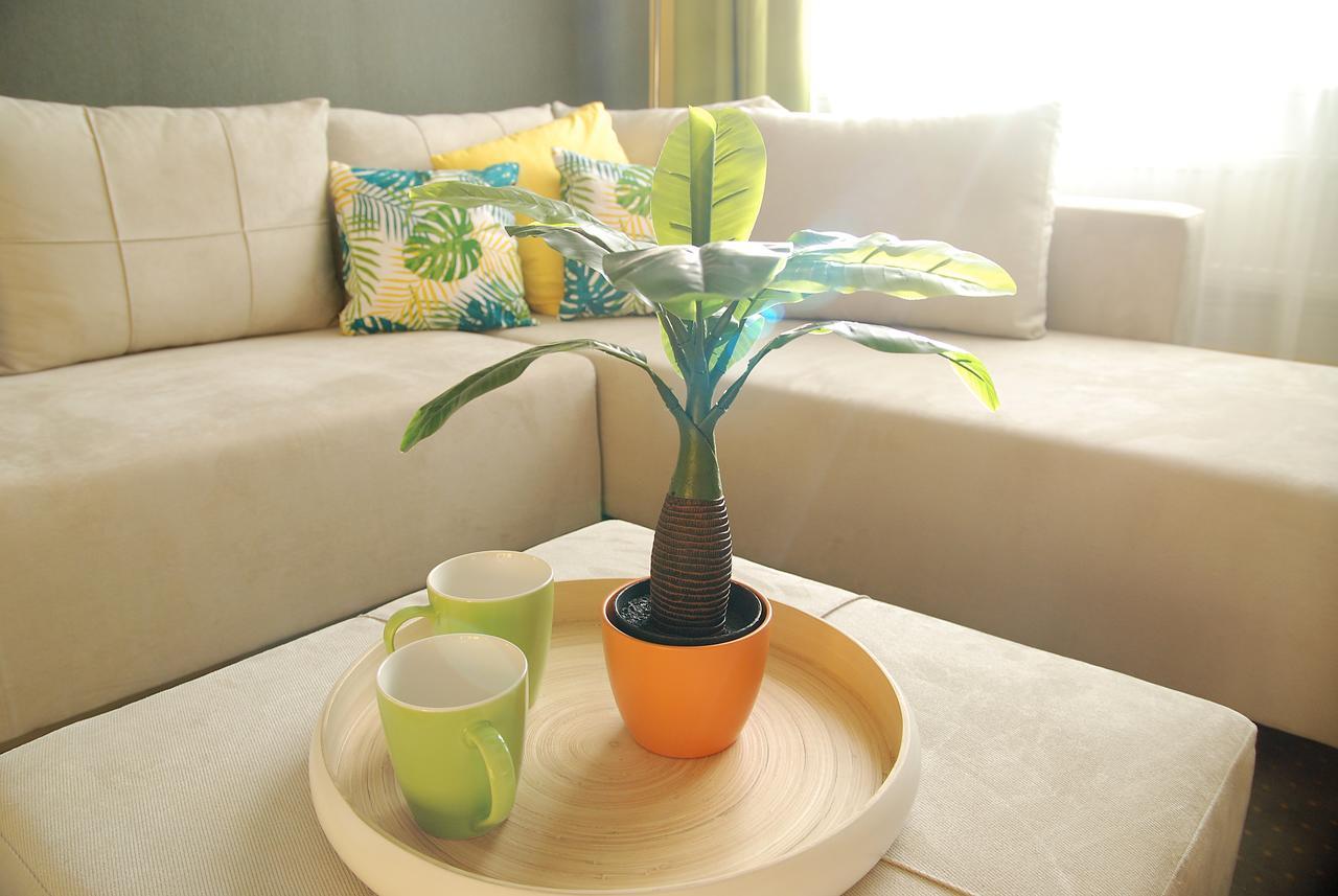 City Home ทิมิชัวรา ภายนอก รูปภาพ